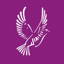 Weybridge Vandals Cricket Club logo