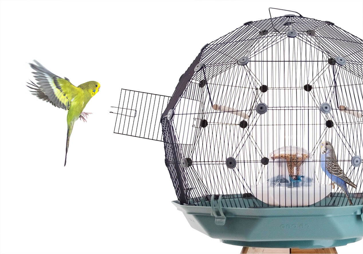 Geo Bird Cage Four Legs Or Wings Pets