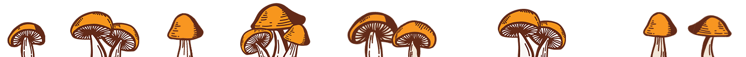 Mushroom Graphics