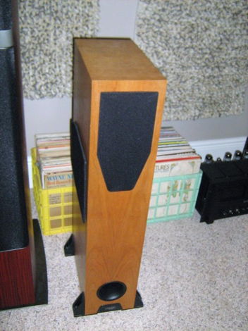 Rega RS-5 Reference Tower Speakers