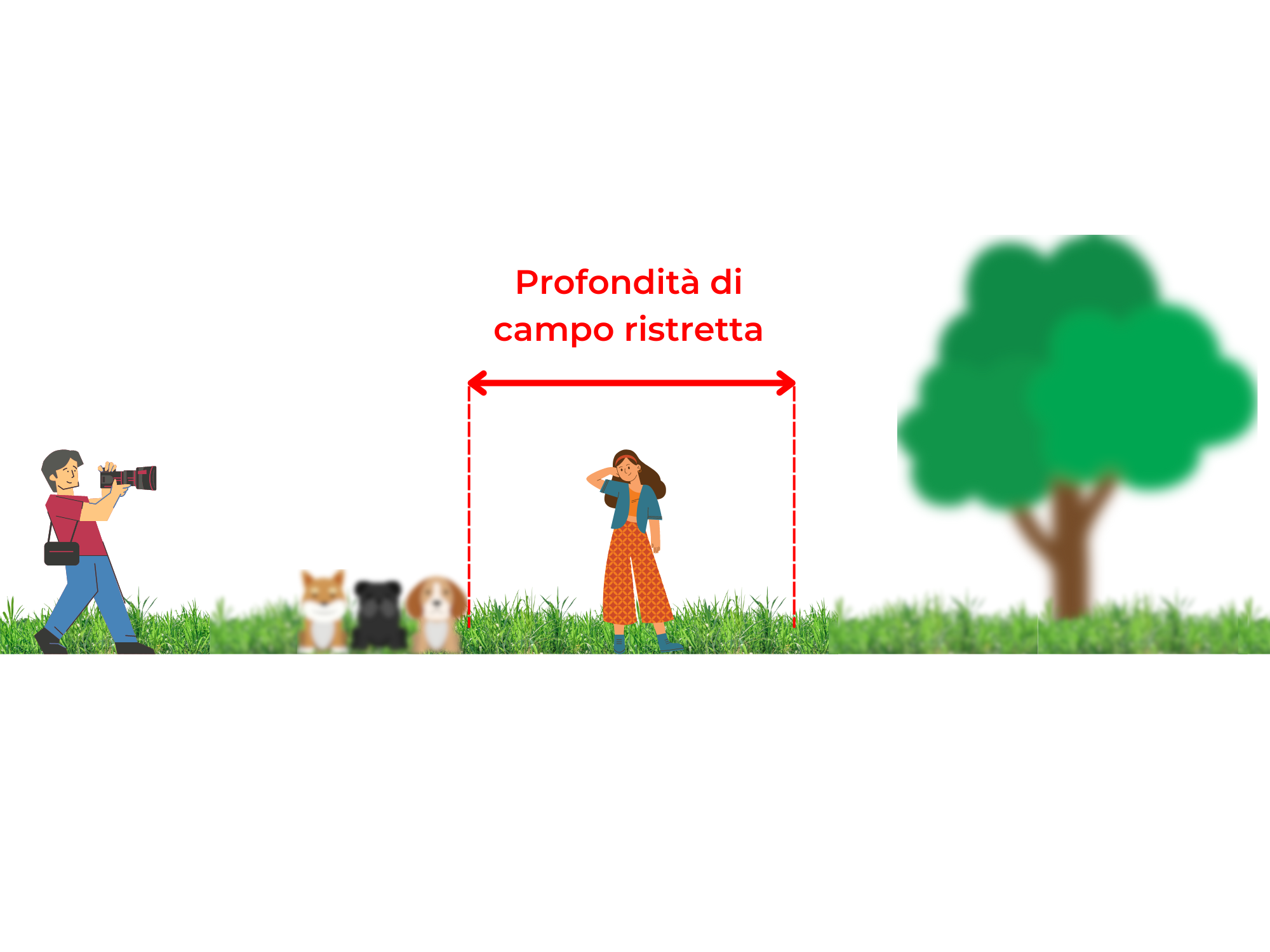  profondità di campo ristretta. una ragazza a fuoco, mentre elementi davanti e dietro sono sfuocati