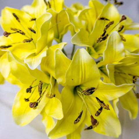 Yellow Asiatic Lily Flowerhead - Realistic Artificial Flowers - Image 4
