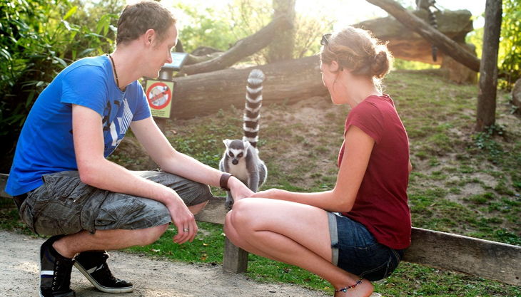 westfälisches pferdemuseum kattaanlage allwetterzoo