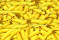 台湾バナナとは