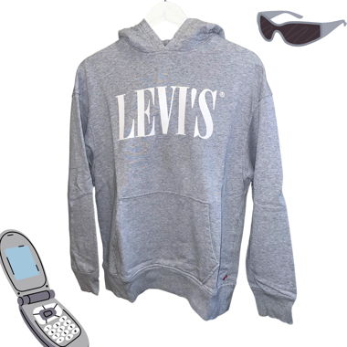 levi‘s oversized hoodie