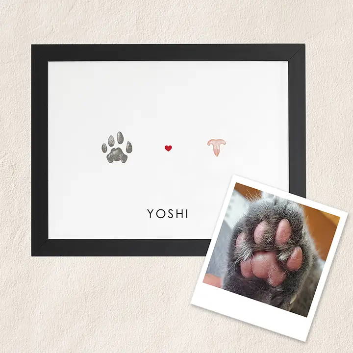 Photo of cats paw with paw and nose print memorial art