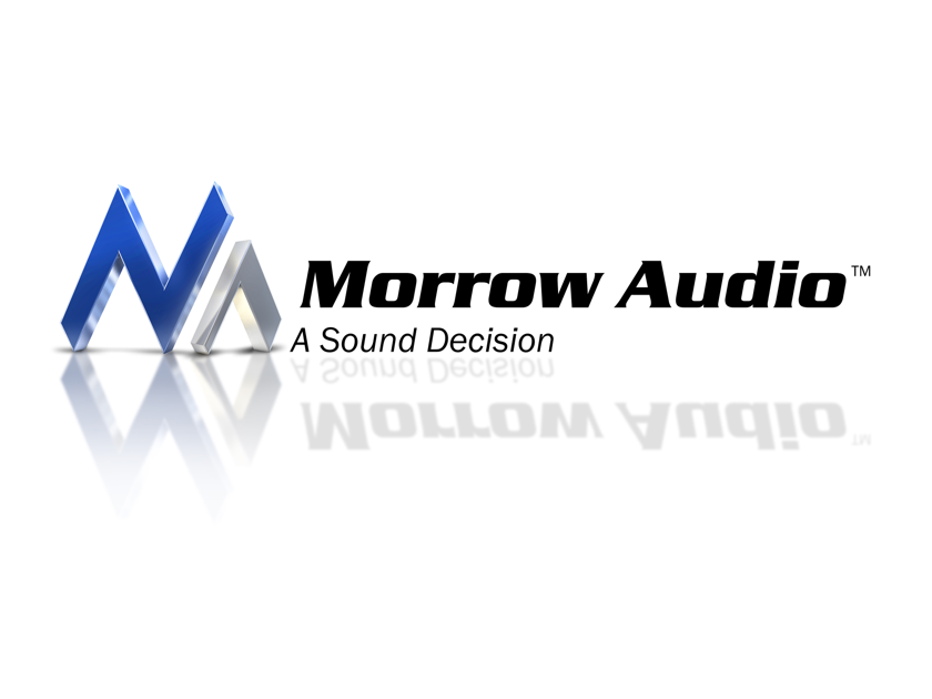 HEARING EVERYTHING! Morrow Audio PH3 Phono Cables 60 day returns.