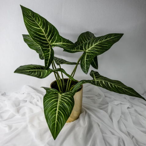 Xanthosoma Leaf (12 Pack)- Realistic Artificial Flowers and Greenery - Image 2