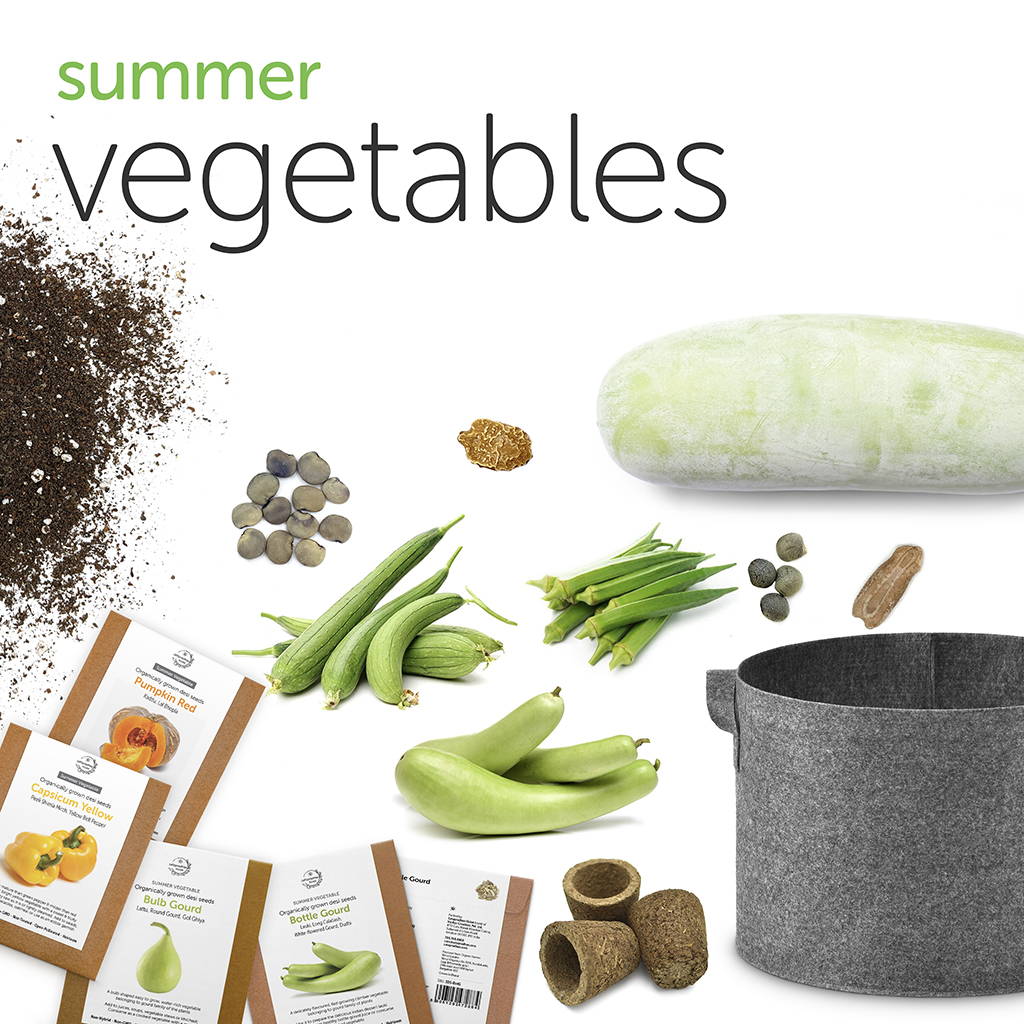 sprouts, organic seeds, desi seeds, home gardening. gardening, gardening essentials