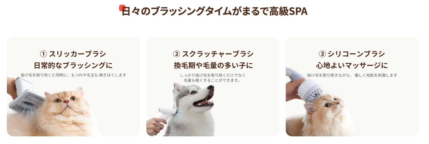 日々のブラッシングタイムがまるで高級SPA