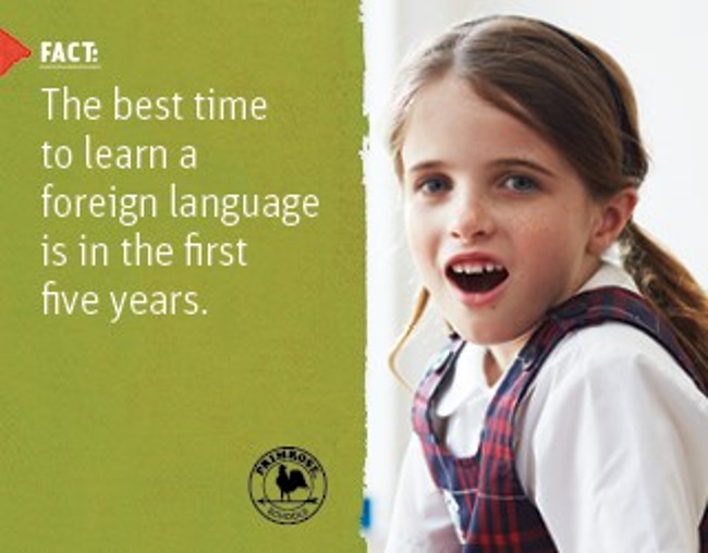 Poster stating a scientific fact about learning new languages in the first 5 years next to an image of a Primrose student