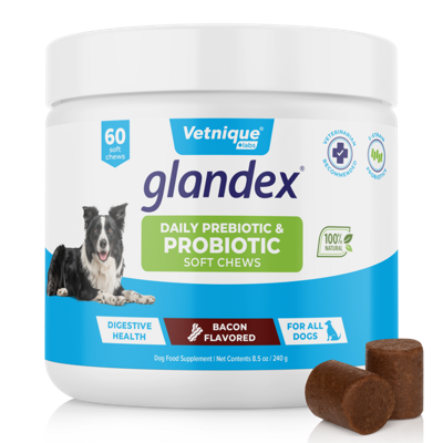 Glandex Probiotic Prebiotic Soft Chews for Dogs