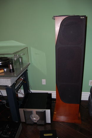 PROAC RESPONSE 4 class a rare birds eys m... For Sale | Audiogon