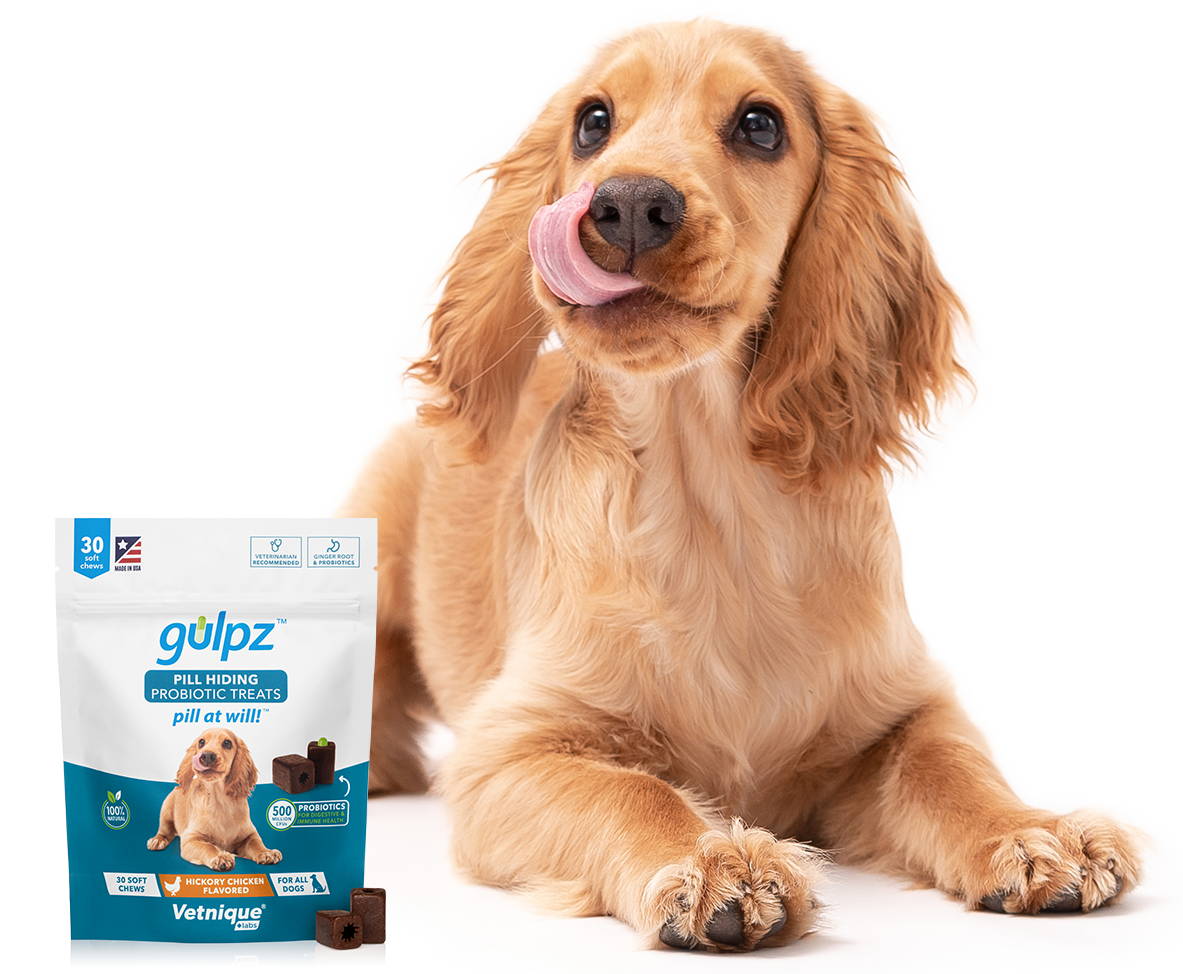 Gulpz Tasty Pill Hiding Probiotic Pet Medication Treats