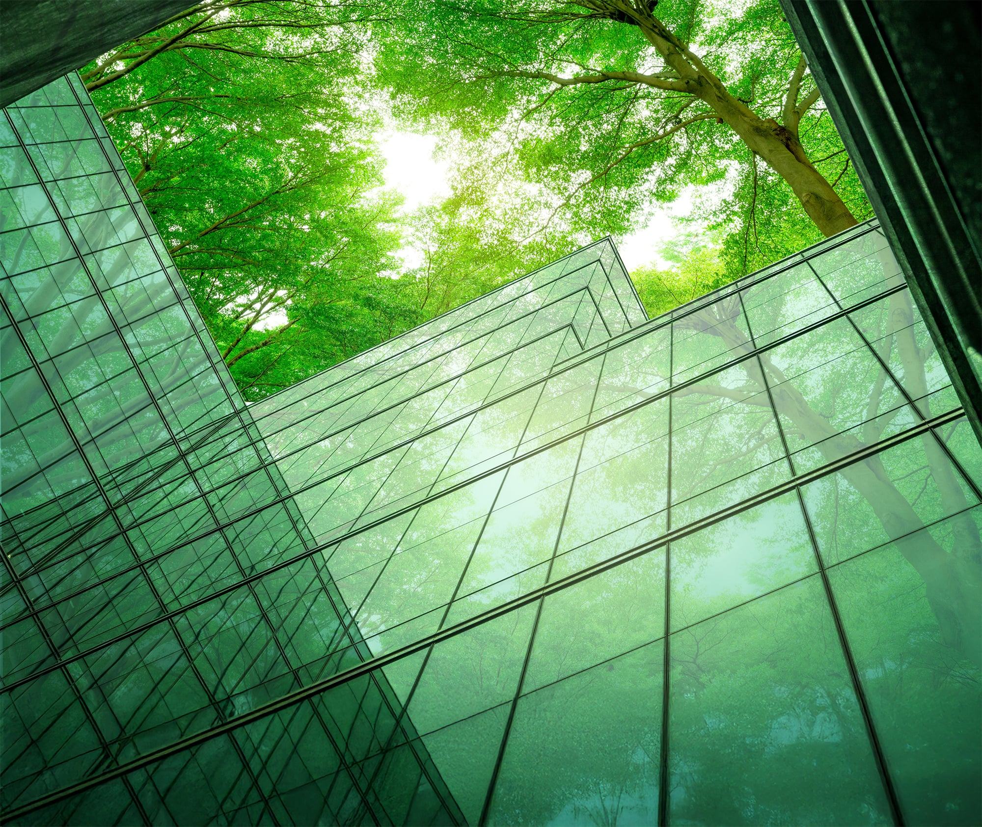 Glass buildings reflect and blend with tall green trees and sunlight above, creating a seamless connection between architecture and nature from a low-angle perspective.
