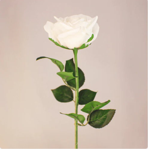 White Large Real Touch Rose - Realistic Artificial Flowers - Image 2