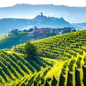 Wine Tasting in Tuscany