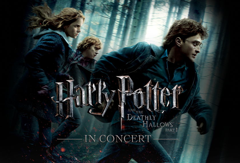 Harry Potter y las reliquias de la muerte: Harry, Ron y Hermione