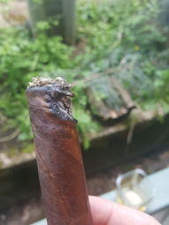 Cigar Session Photo