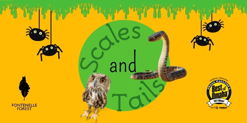 Scales and Tails promotional image