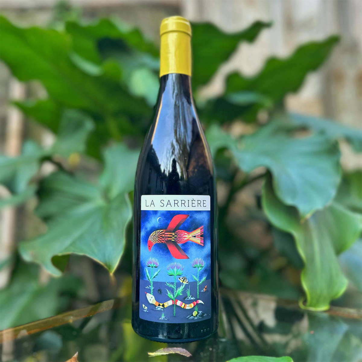 France, vin nature, rawwine, organic wine, vin bio, vin sans intrants, vin sans souffre, vin sans sulfites ajoutés, vin rouge, vin blanc, rouge, blanc, vin propre, vigneron, domaine bio, biodynamie, vigneron nature, vin biodynamique, raizin brut, Quimper, Finistère, Morbihan 