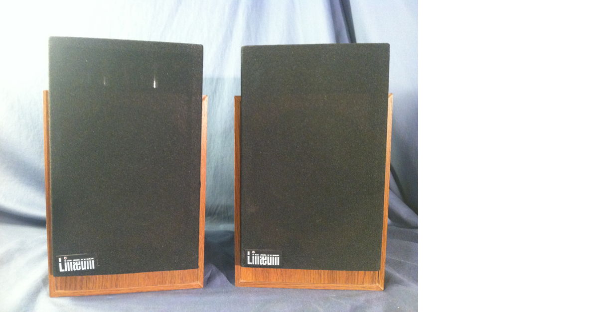 Linaeum A-1 シビア