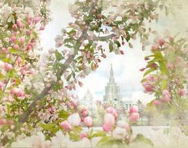 Spring blossom branches framing the Idaho Falls Temple.