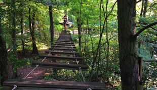 treetree lange brücke