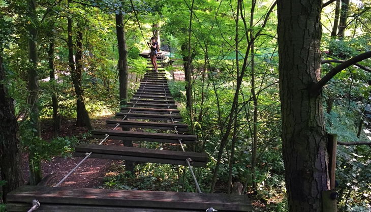 treetree lange brücke