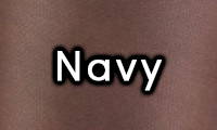 Navy Color Swatch