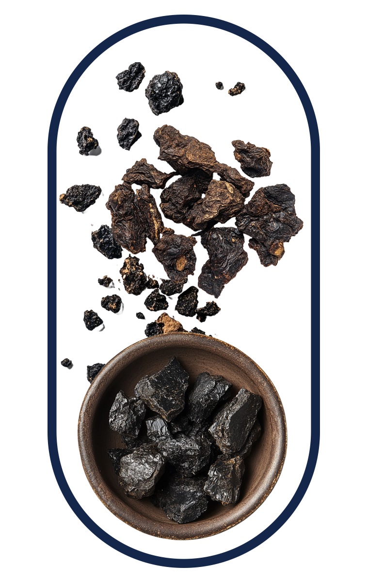 Dried himalayanshilajit extract in bowl and scattered form, supporting stamina, cognition, and recovery