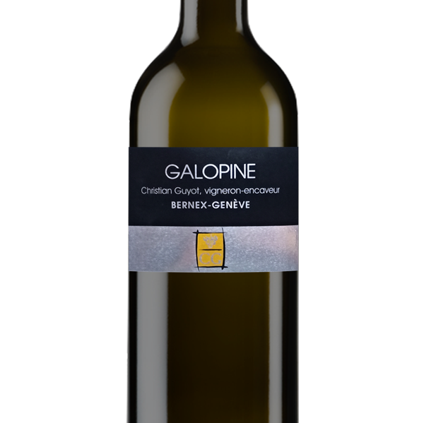 new-galopine-christian-guyot