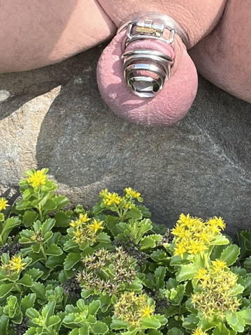 Open it Mouth gag