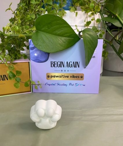 Pawsitive Vibes Crystal Healing Pet Edition - Image 5