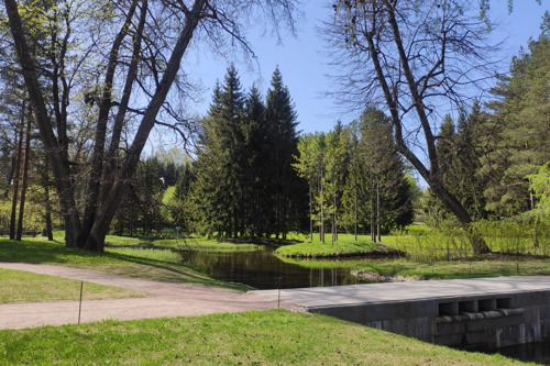 Пушкин (Царское Село): Екатерининский дворец парк и Янт. комната  (сб-вс)