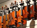 a close up image of many different sizes of violins for sale on a wall inside of a shop. 