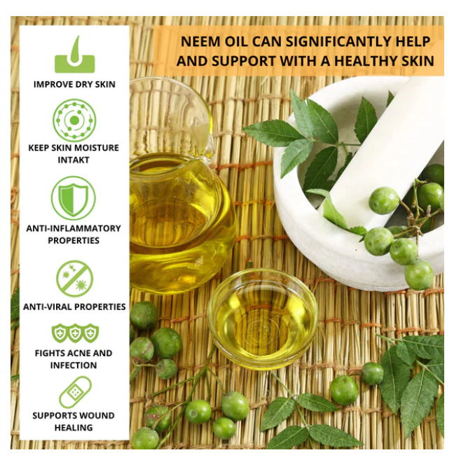 Screenshot 2025-01-09 105235