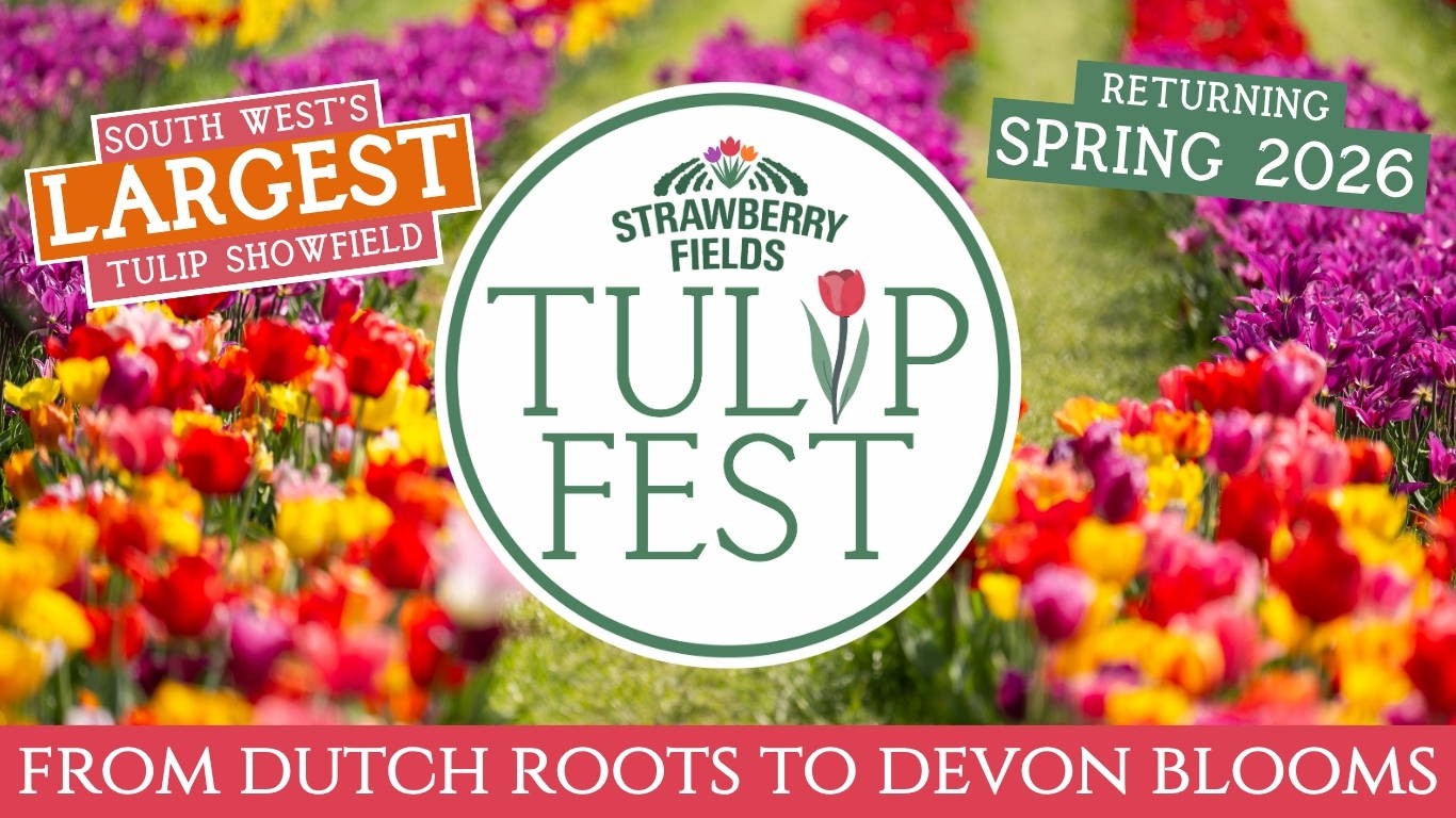 Discover the biggest and best pumpkin festival in Devon & Cornwall, and South West! Pumpkin Fest at Strawberry Fields is the ultimate family day out with a huge pumpkin patch, pumpkin picking, maize maze, barrel train rides, photo spots, tasty autumn treats & fun for all ages. Book now!