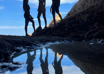 INTO THE ISLAND