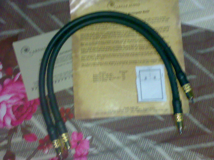 Cardas Golden reference 0.5m RCA pair used