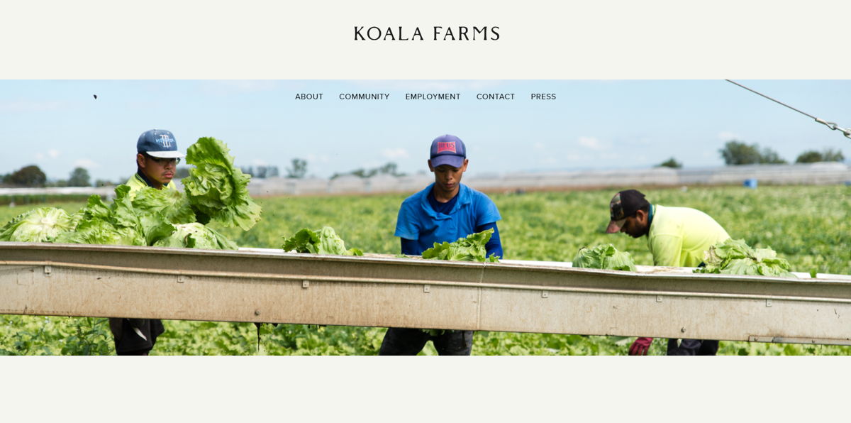 Screenshot of Koala farms, from the farm websites collection.