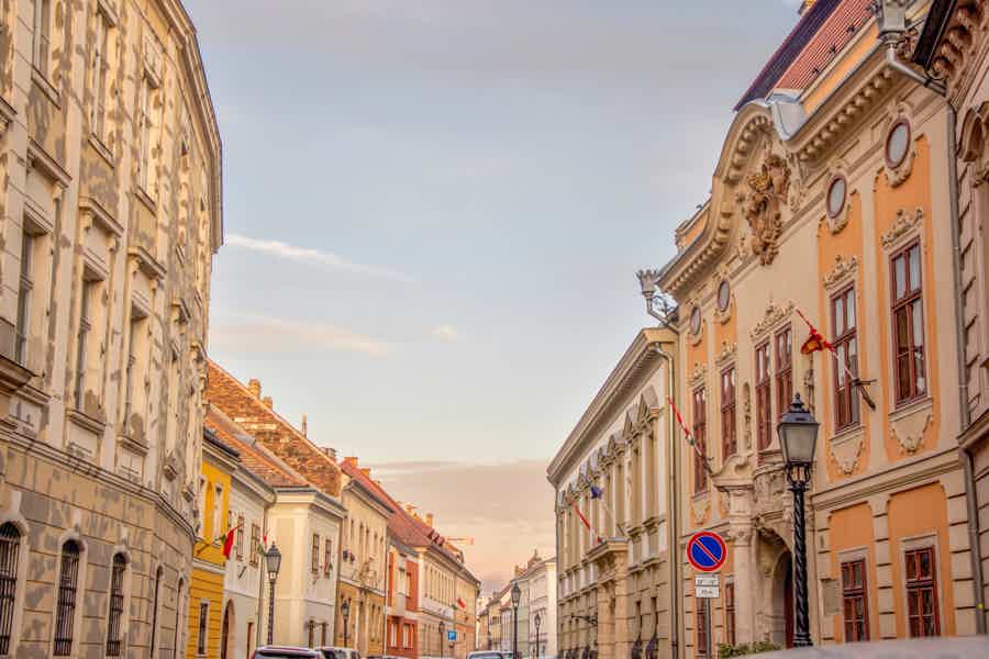 Walking Tour of Buda Castle with a Historian - photo 2
