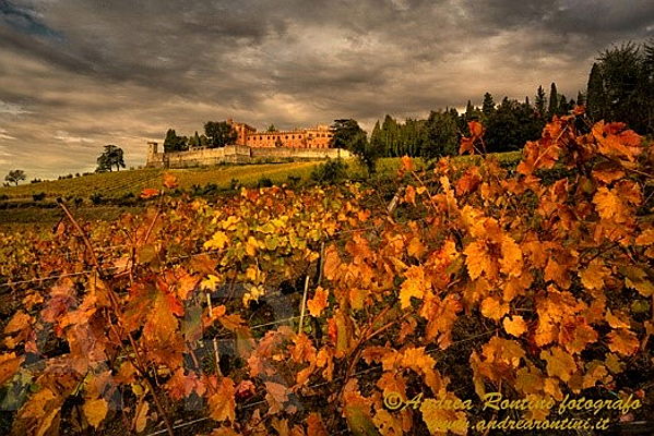  Siena (SI)
- autunno in chianti ar1.jpg