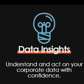 ImagineX Consulting product / service