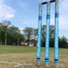 Bagshot Cricket Club Logo