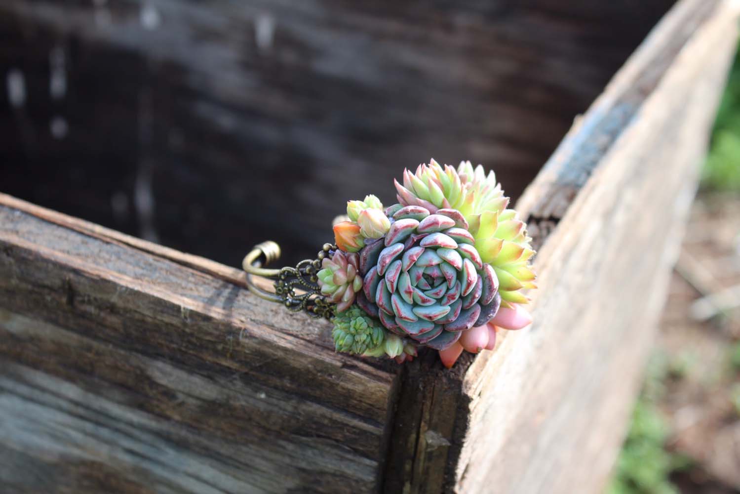 succulent cuff bracelet corsage wedding wrist