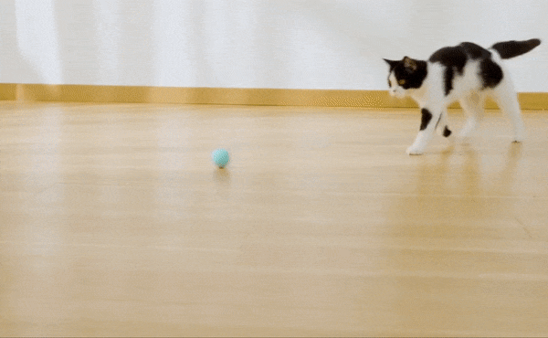 Furry Frenzy™ Smart Cat Ball – GemHive
