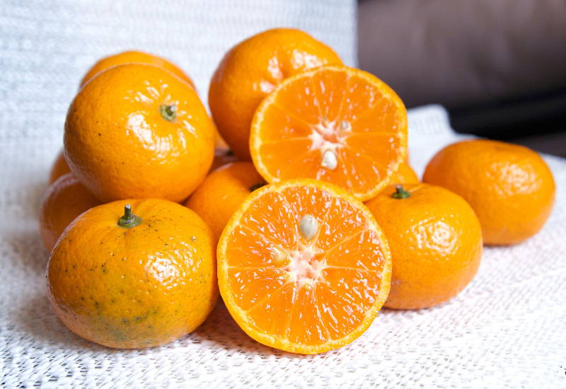 みかんの皮 食べる方法