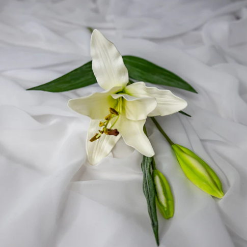 White Asiatic Lily Small - Realistic Artificial Flowers - Image 2