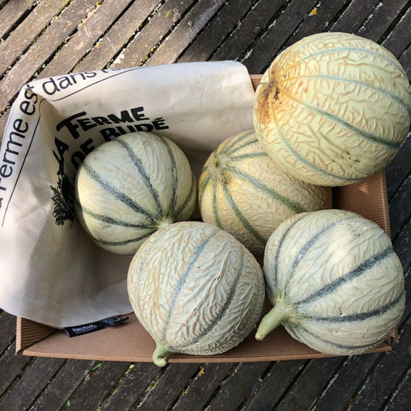 carton-de-melons-bio-5kg